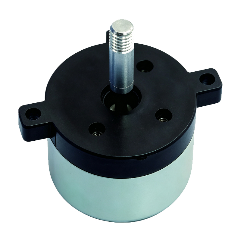 30 Series Single-Phase Brushless DC Motor