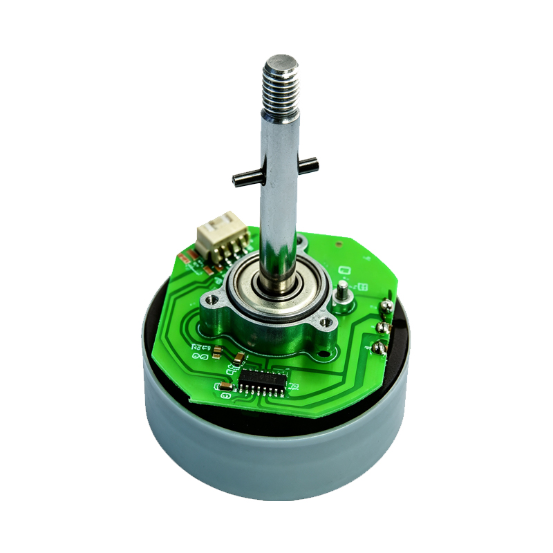 52 Series Three-Phase Permanent Magnet BLDC Motor