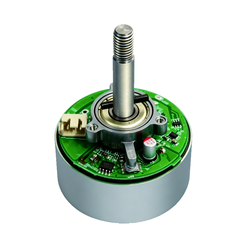 61 Series Three-Phase Permanent Magnet BLDC Motor